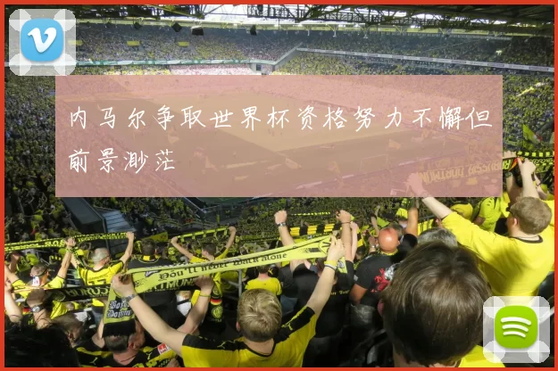 内马尔争取世界杯资格努力不懈但前景渺茫